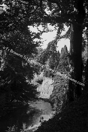 BIRR CASTLE  RIVER THROUGH TREES THROUGH ROSE GARDEN